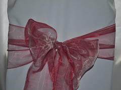 Organza Chair Sash